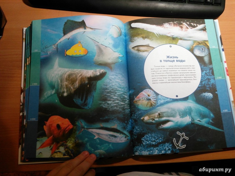 Иллюстрация 17 из 30 для Жизнь океана - Александр Тихонов | Лабиринт - книги. Источник: Горяева  Любовь