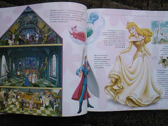 Иллюстрация 1 из 7 для Путеводитель по миру принцесс. Подарочная | Лабиринт - книги. Источник: Турист