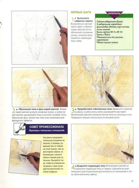 Иллюстрация 34 из 49 для Как научиться рисовать животных. Шаг за шагом | Лабиринт - книги. Источник: * Ольга *