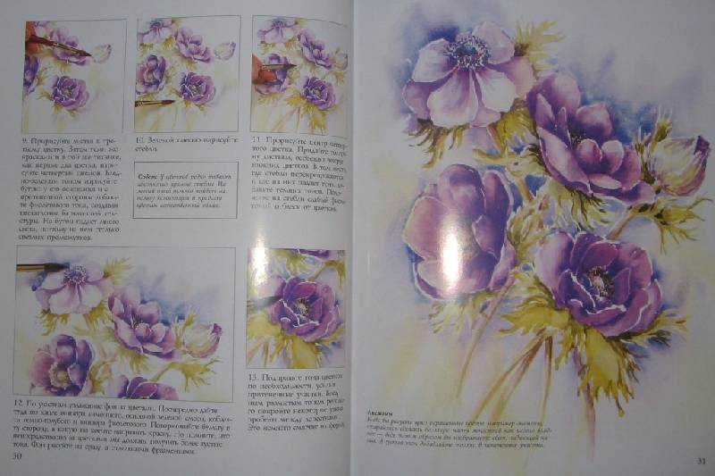 Иллюстрация 5 из 19 для Рисуем цветы акварелью - Вэнди Тейт | Лабиринт - книги. Источник: Читательница