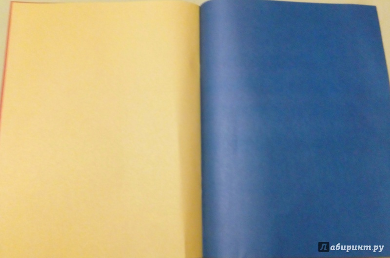 Иллюстрация 4 из 6 для Бумага цветная двухсторонняя "Котята" (16 листов, 8 цветов) (С0235-01) | Лабиринт - канцтовы. Источник: Екатерина