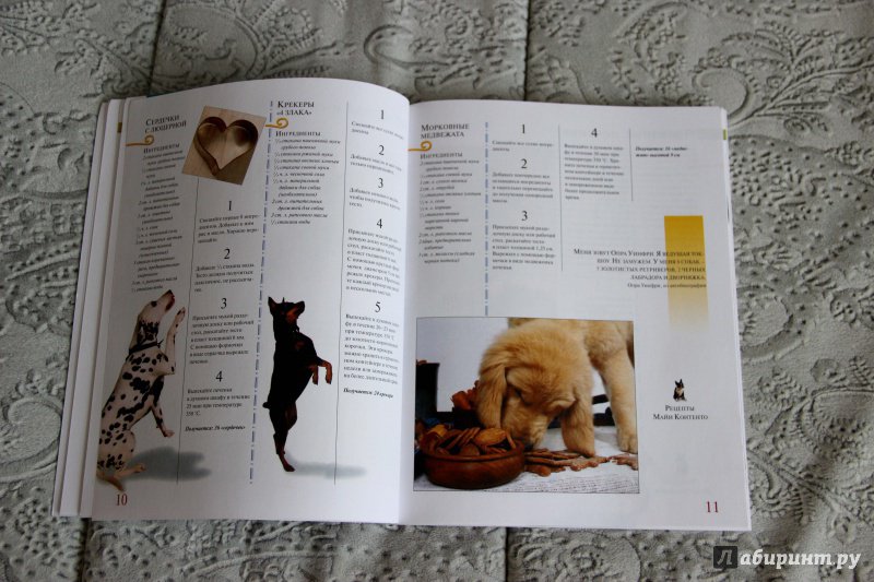 Иллюстрация 15 из 15 для Поделки для домашних любимцев. Собаки - Бобби Нидхэм | Лабиринт - книги. Источник: пузыречек