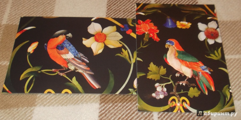Иллюстрация 4 из 27 для Набор открыток Эрмитаж. Цветы и птицы, 16 штук | Лабиринт - сувениры. Источник: Агаточка