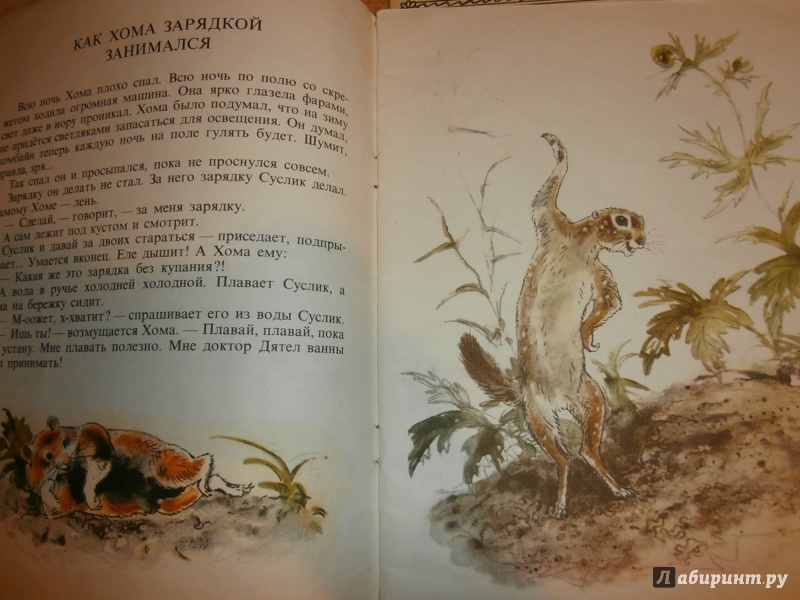 Иллюстрация 24 из 51 для Приключения Хомы - Альберт Иванов | Лабиринт - книги. Источник: Tiger.