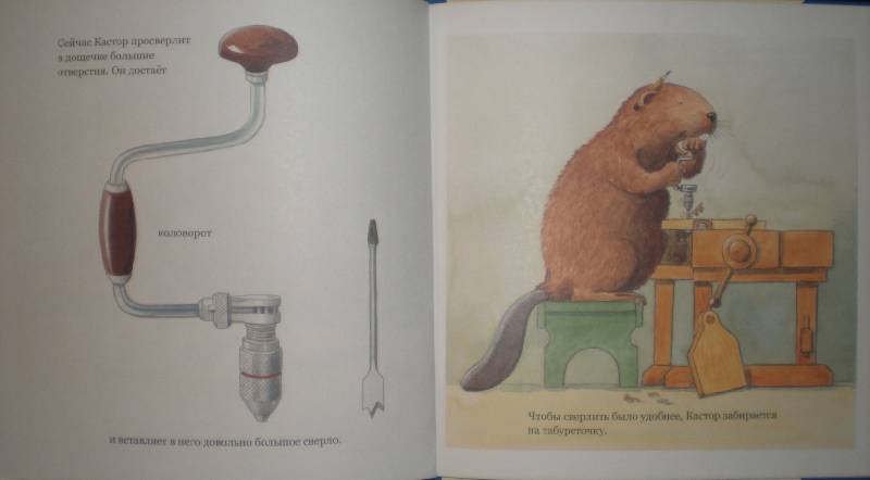 Иллюстрация 9 из 36 для У Кастора в мастерской - Ларс Клинтинг | Лабиринт - книги. Источник: Гостья