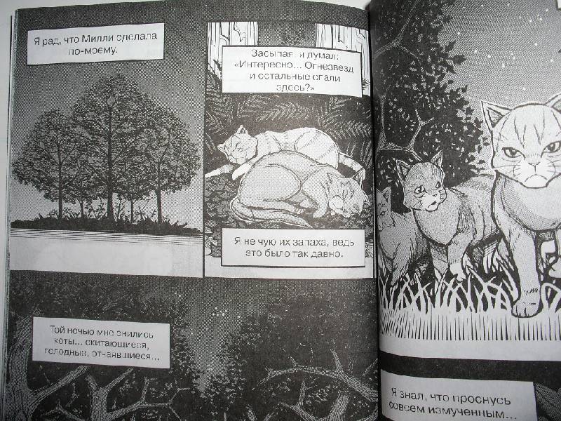 Иллюстрация 43 из 44 для Крутобок & Бич. Комплект комиксов из 4-х книг - Эрин Хантер | Лабиринт - книги. Источник: Tiger.