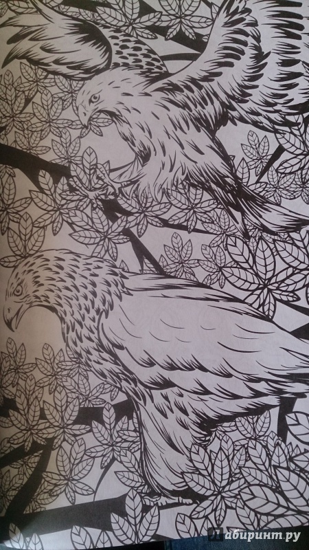 Иллюстрация 26 из 31 для Заколдованный лес. Раскраска-антистресс для творчества и вдохновения | Лабиринт - книги. Источник: Franny