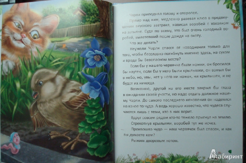 Иллюстрация 5 из 18 для Червячок Чарли - Светлана Фадеева | Лабиринт - книги. Источник: Лабиринт
