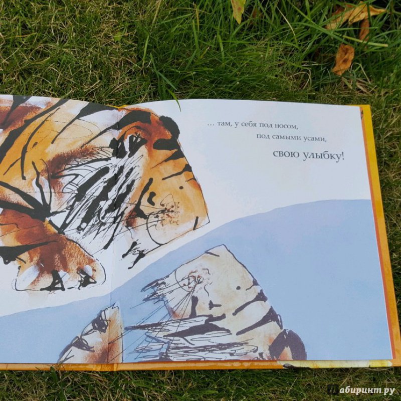 Иллюстрация 36 из 48 для Как тигр Август потерял улыбку - Кэтрин Райнер | Лабиринт - книги. Источник: Федулова  Анна Алексеевна