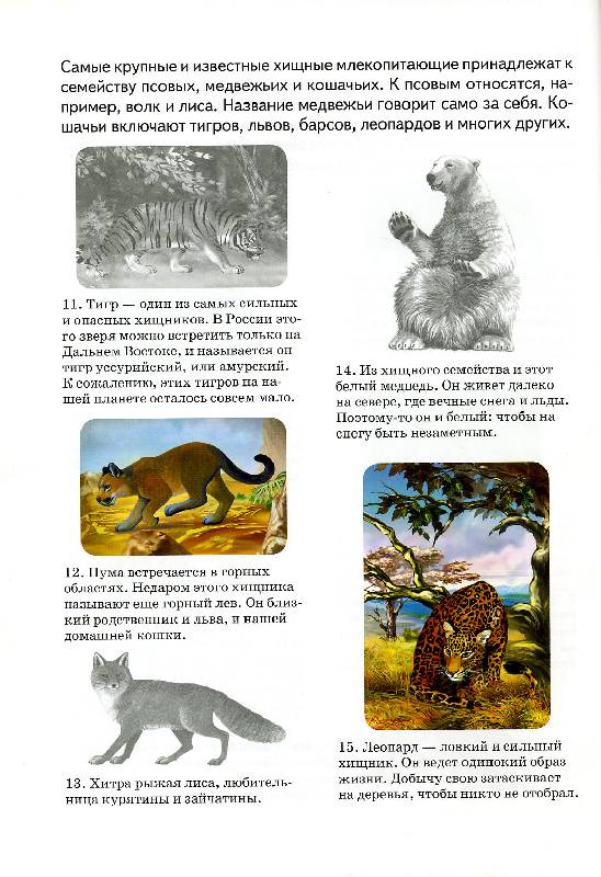 Иллюстрация 8 из 12 для Сборник-2: Птицы, насекомые, животные, динозавры - Бугаев, Александрович, Гришин | Лабиринт - книги. Источник: РИВА