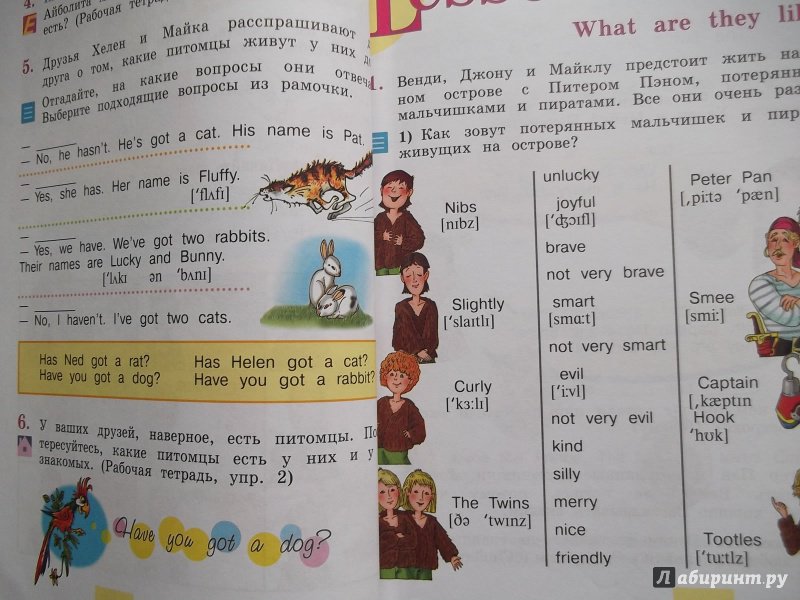 Английский язык страница 98 упражнение 3