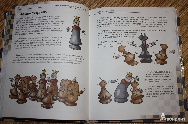 Иллюстрация 10 из 25 для Приключения в шахматном королевстве - Халас, Геци | Лабиринт - книги. Источник: КНИЖНОЕ ДЕТСТВО