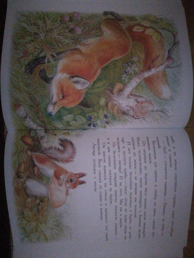 Иллюстрация 33 из 36 для Сказки для детей - Виталий Бианки | Лабиринт - книги. Источник: Голубова  Ирина