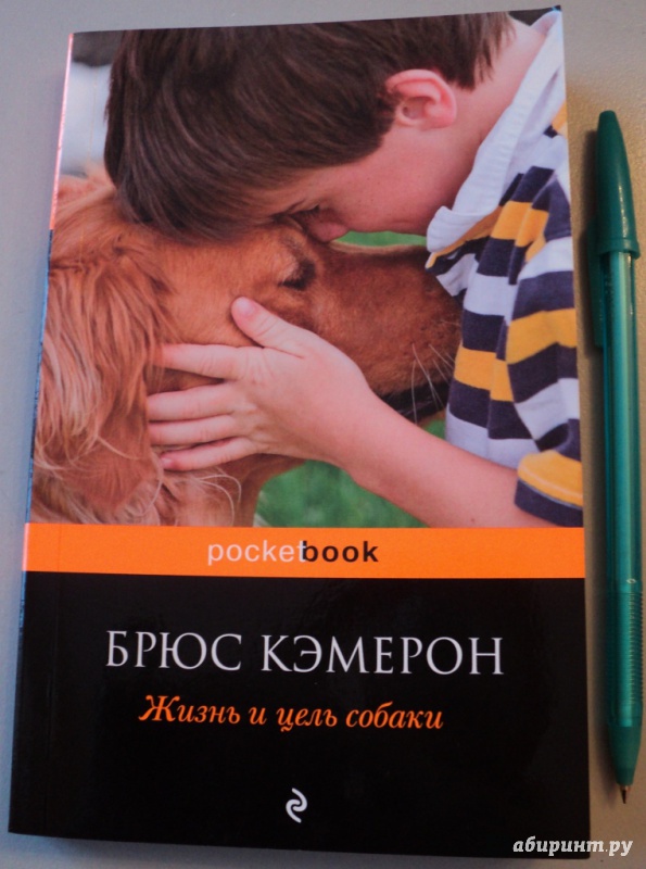 Иллюстрация 6 из 22 для Жизнь и цель собаки - Брюс Кэмерон | Лабиринт - книги. Источник: Марика909