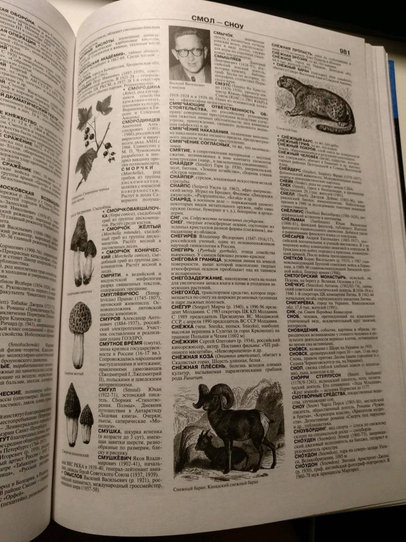 Иллюстрация 12 из 12 для Самый полный иллюстрированный энциклопедический словарь | Лабиринт - книги. Источник: Lunx