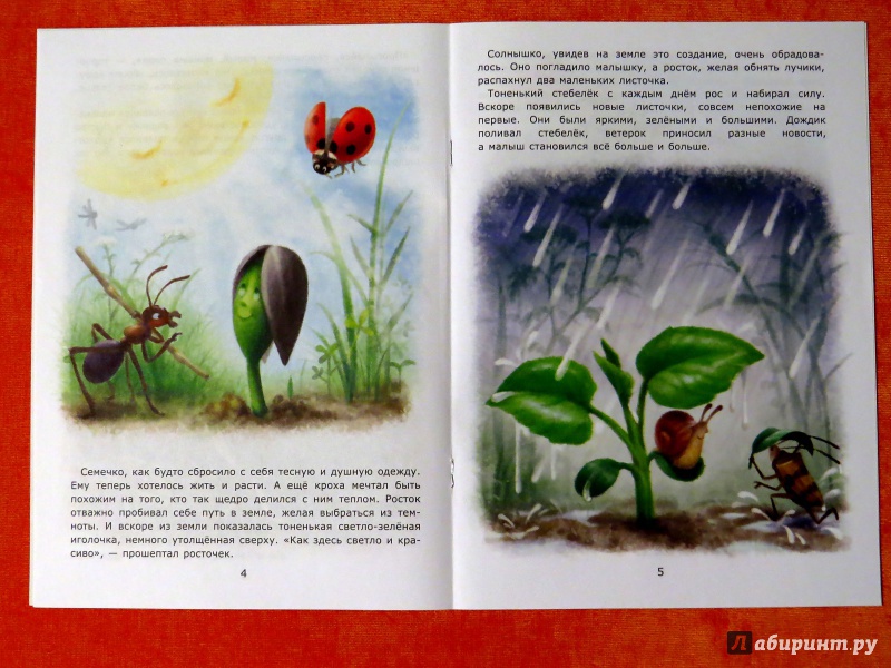 Иллюстрация 4 из 21 для Подсолнух - Лариса Тарасенко | Лабиринт - книги. Источник: Поникарова  Людмила