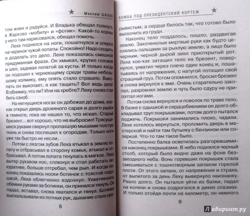 Иллюстрация 5 из 5 для Бомба под президентский кортеж - Максим Шахов | Лабиринт - книги. Источник: Соловьев  Владимир