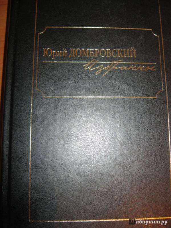 Иллюстрация 7 из 29 для Избранное. В 2 томах. Том 2 - Юрий Домбровский | Лабиринт - книги. Источник: Хабаров  Кирилл Андреевич