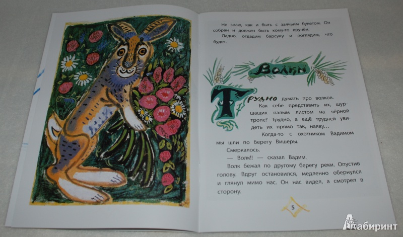 Иллюстрация 7 из 52 для Заячий букет - Коваль, Маврина | Лабиринт - книги. Источник: Книжный кот