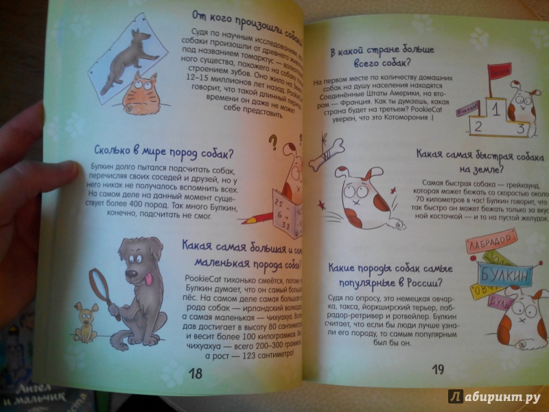 Иллюстрация 16 из 21 для Почему собака лает и еще 100 ответов на детские "почему" про собак - Брюгген Ван | Лабиринт - книги. Источник: Александра Джейлани
