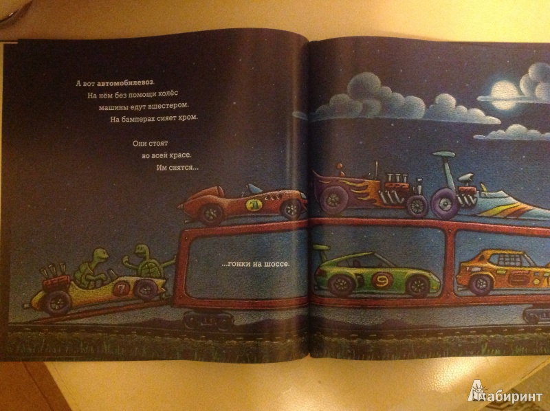 Иллюстрация 34 из 95 для Чудный поезд мчится в сон - Ринкер Даски | Лабиринт - книги. Источник: Natik-15