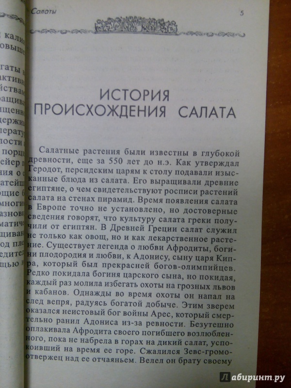 Иллюстрация 8 из 15 для Салаты - Анастасия Лебедева | Лабиринт - книги. Источник: Лабиринт