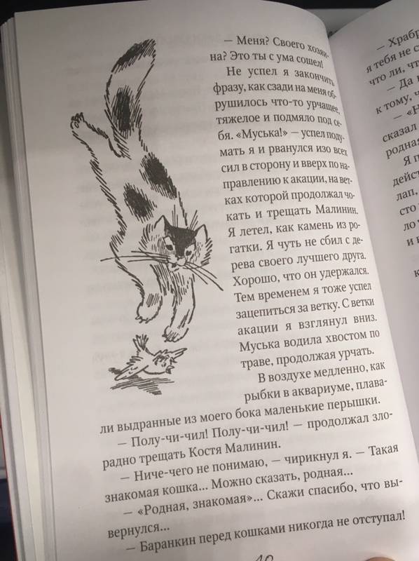 Иллюстрация 12 из 19 для Баранкин, будь человеком! - Валерий Медведев | Лабиринт - книги. Источник: Лабиринт