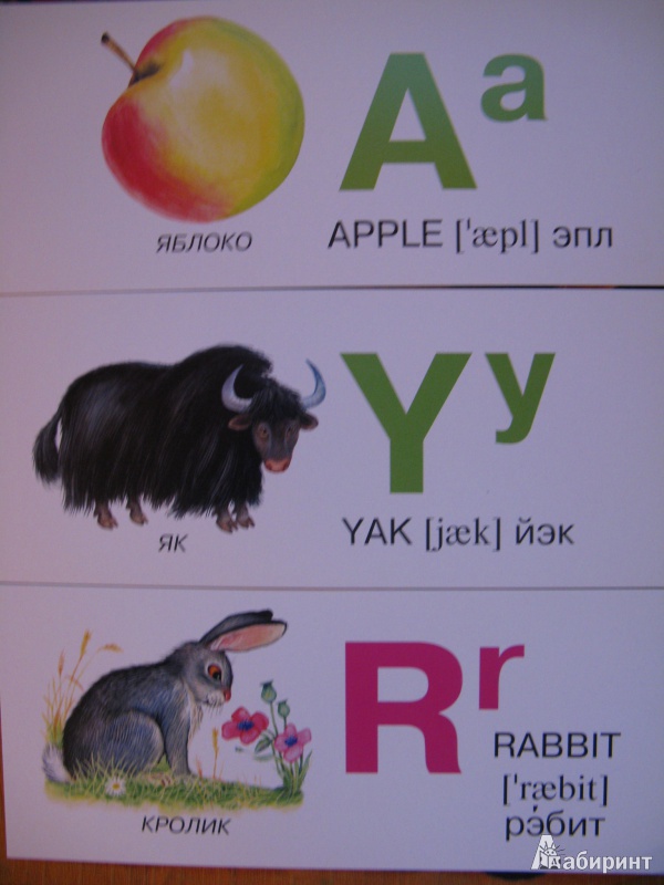 Иллюстрация 2 из 5 для Азбука в картинках на английском языке. Набор карточек | Лабиринт - игрушки. Источник: Rusalochka-777