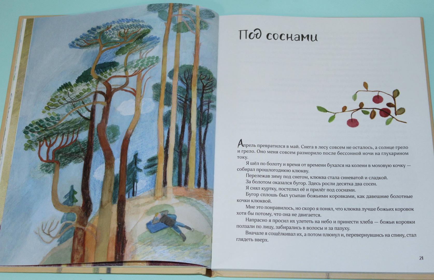 Иллюстрация 29 из 32 для Чистый Дор - Юрий Коваль | Лабиринт - книги. Источник: Katerina
