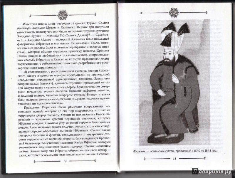 Иллюстрация 7 из 32 для Тайны наследников султанов, или "Клетка для принцев" - Джон Фрили | Лабиринт - книги. Источник: Никишина  Алена