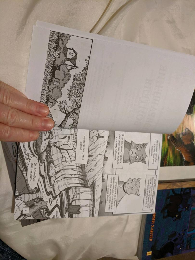 Иллюстрация 28 из 44 для Крутобок & Бич. Комплект комиксов из 4-х книг - Эрин Хантер | Лабиринт - книги. Источник: Krutova-Harper Olga