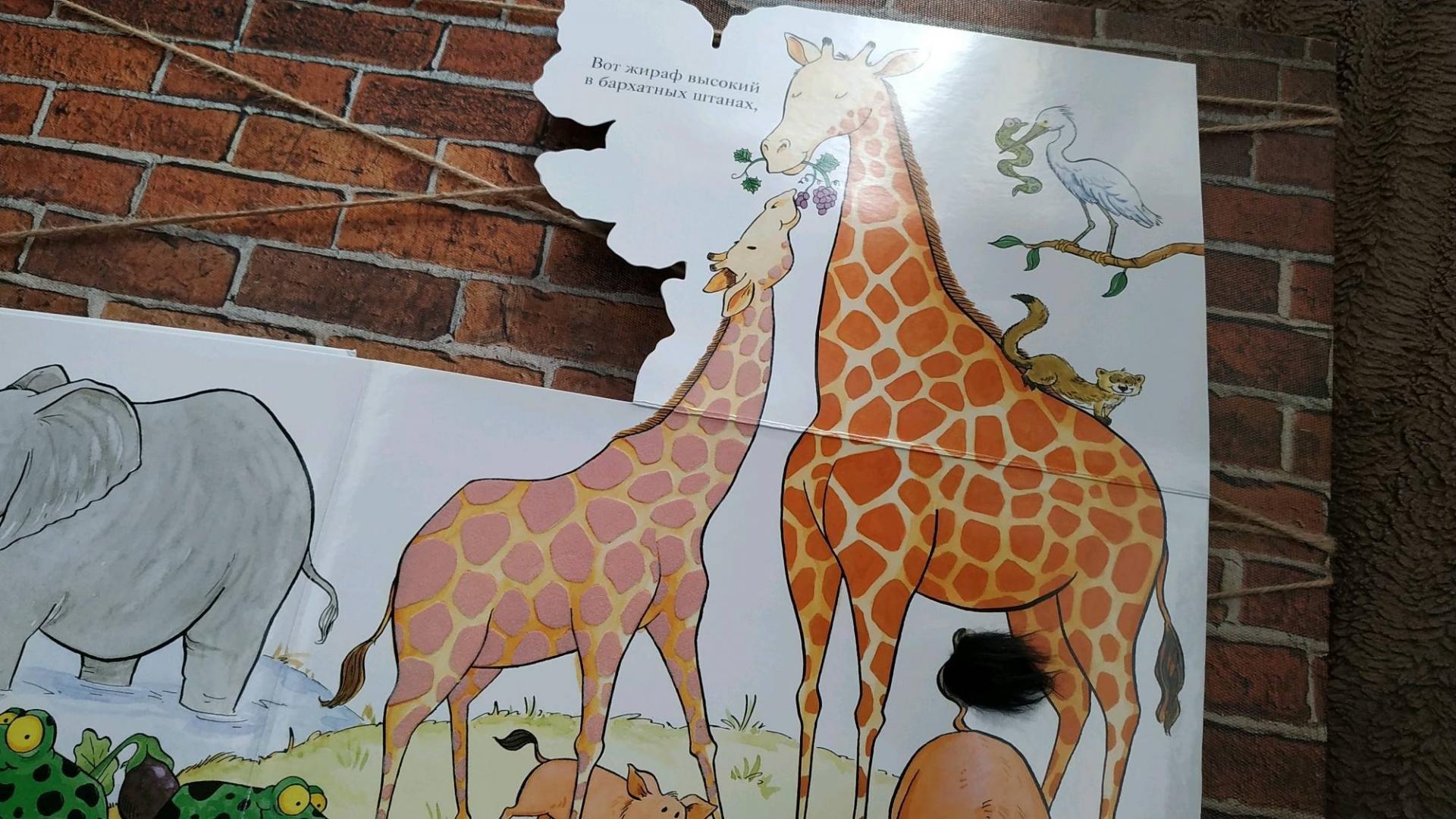 Иллюстрация 68 из 70 для Зоопарк - Флит Ван | Лабиринт - книги. Источник: Корешкова Мария