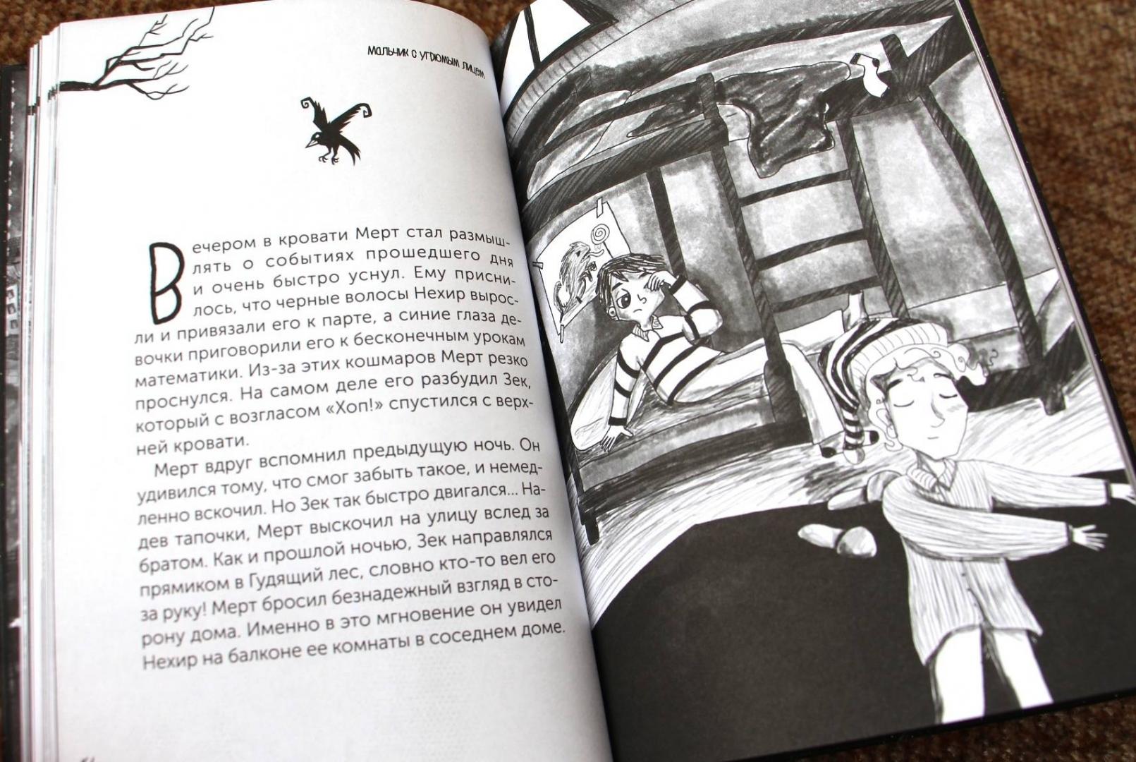 Иллюстрация 15 из 27 для Мальчик с угрюмым лицом, или Необычайная лесная история - Нур Домбайджи | Лабиринт - книги. Источник: Мама-Почитайка