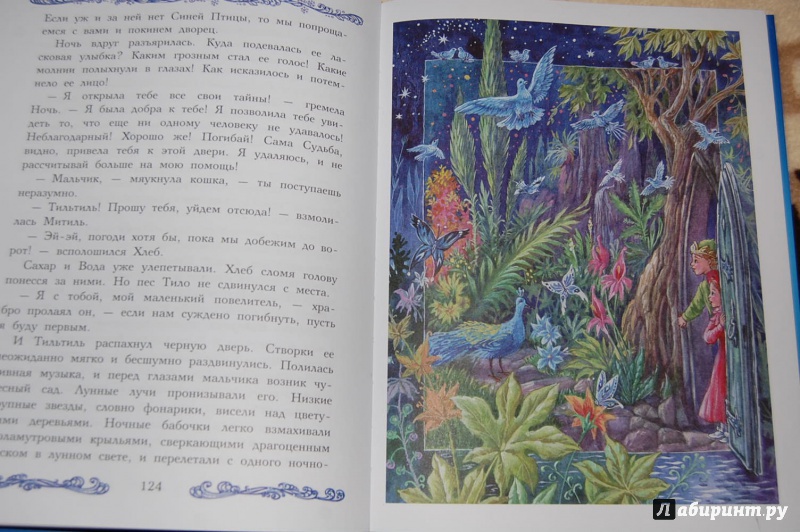 Иллюстрация 3 из 28 для Синяя птица - Морис Метерлинк | Лабиринт - книги. Источник: Евстратова  Ольга