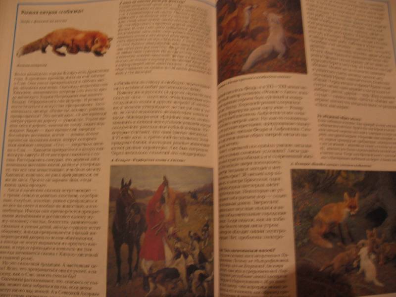 Иллюстрация 7 из 10 для Загадки собак - Светлана Лаврова | Лабиринт - книги. Источник: Зайчик