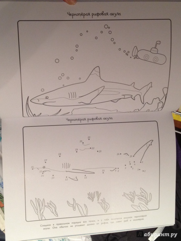 Иллюстрация 6 из 22 для Акулы - Эмма Сэл | Лабиринт - книги. Источник: Немцова  Евгения