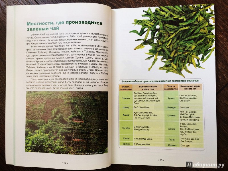 Иллюстрация 9 из 20 для Зеленый чай: оцените китайский чай - Хун Ли | Лабиринт - книги. Источник: Lr