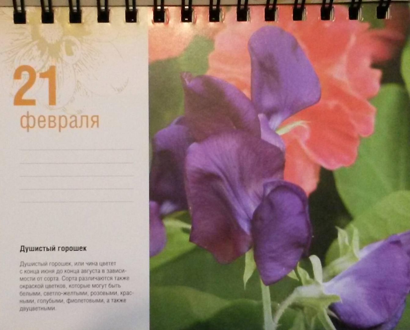 Иллюстрация 8 из 9 для Прекрасные цветы. Шедевры природы на каждый день. Календарь универсальный - Фомина, Лацис | Лабиринт - сувениры. Источник: Весна