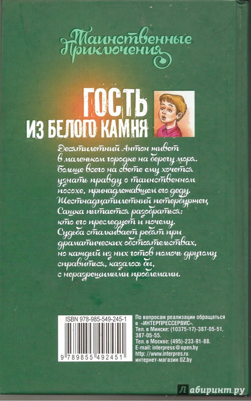 Иллюстрация 8 из 24 для Гость из Белого Камня - Екатерина Каретникова | Лабиринт - книги. Источник: Alex