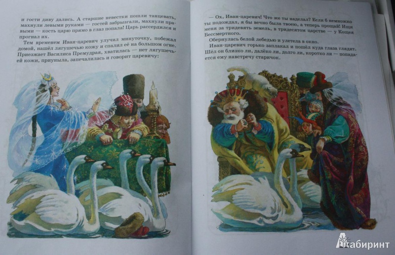 Иллюстрация 8 из 28 для Царевна-лягушка | Лабиринт - книги. Источник: Вольга