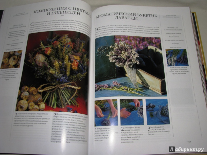 Иллюстрация 16 из 16 для Композиции из цветов и листьев - Теренс Мур | Лабиринт - книги. Источник: Бог в помощь