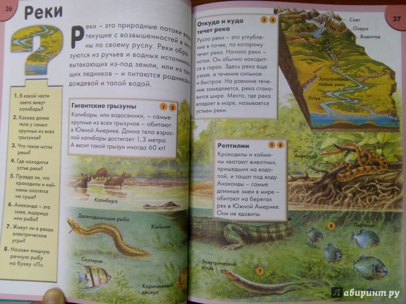 Иллюстрация 25 из 43 для Природа. Интерактивная энциклопедия | Лабиринт - книги. Источник: Ульянова Мария
