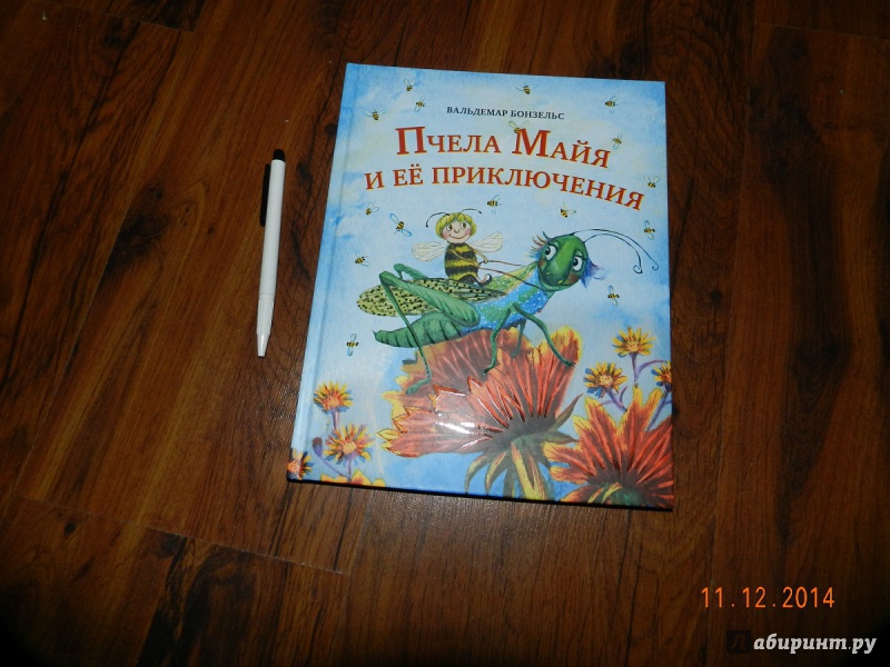 Иллюстрация 34 из 74 для Пчела Майя и её приключения - Вальдемар Бонзельс | Лабиринт - книги. Источник: Косова  Мария