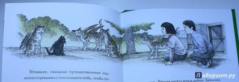 Иллюстрация 28 из 38 для Крылатые кошки возвращаются - Гуин Ле | Лабиринт - книги. Источник: КНИЖНОЕ ДЕТСТВО