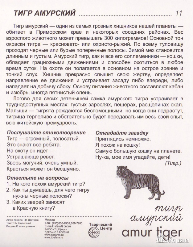 Иллюстрация 10 из 17 для Демонстрационные карточки "Дикие животные -2" - Т. Шорыгина | Лабиринт - книги. Источник: Трубадур