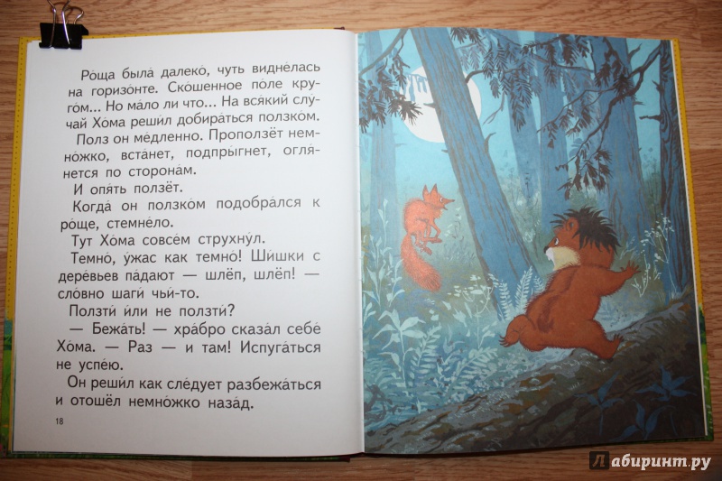 Иллюстрация 16 из 26 для Приключения Хомы и Суслика - Альберт Иванов | Лабиринт - книги. Источник: Bradbury