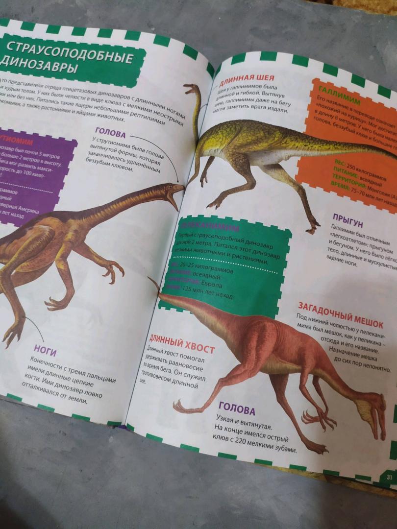Иллюстрация 35 из 36 для Динозавры | Лабиринт - книги. Источник: Лабиринт