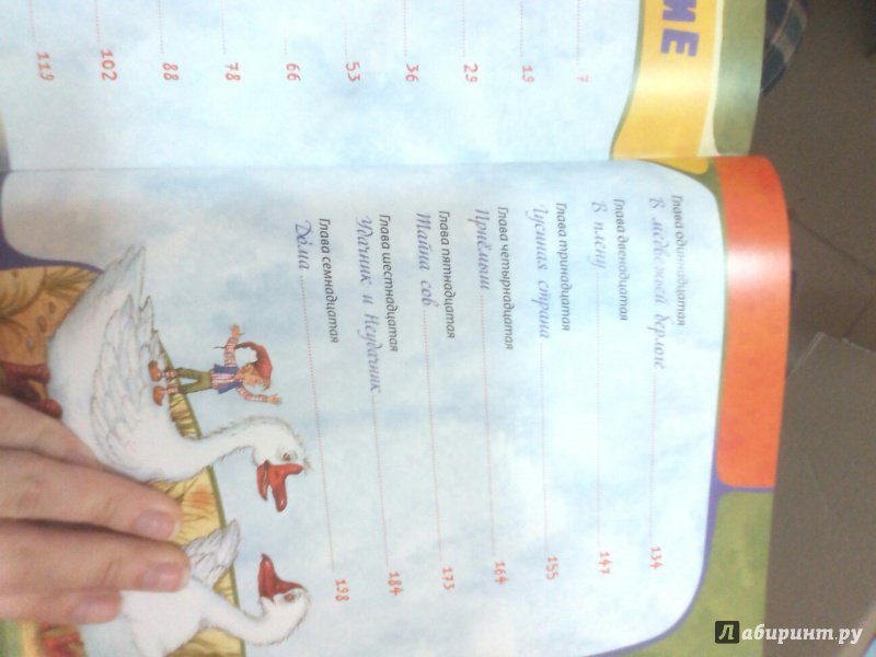Иллюстрация 24 из 41 для Чудесное путешествие Нильса с дикими гусями - Сельма Лагерлеф | Лабиринт - книги. Источник: Жильцова Виктория