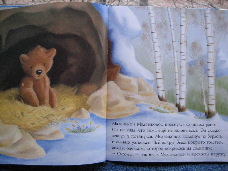Иллюстрация 3 из 14 для Медвежонок и его друзья - Батлер, Макнотон | Лабиринт - книги. Источник: Трухина Ирина