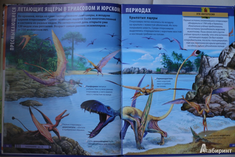 Иллюстрация 15 из 22 для Мир динозавров - Барбара Маевская | Лабиринт - книги. Источник: Гурова  Ксения